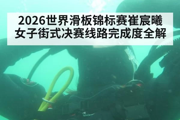2026世界滑板锦标赛崔宸曦女子街式决赛线路完成度全解
